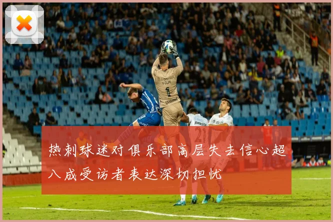 热刺球迷对俱乐部高层失去信心超八成受访者表达深切担忧